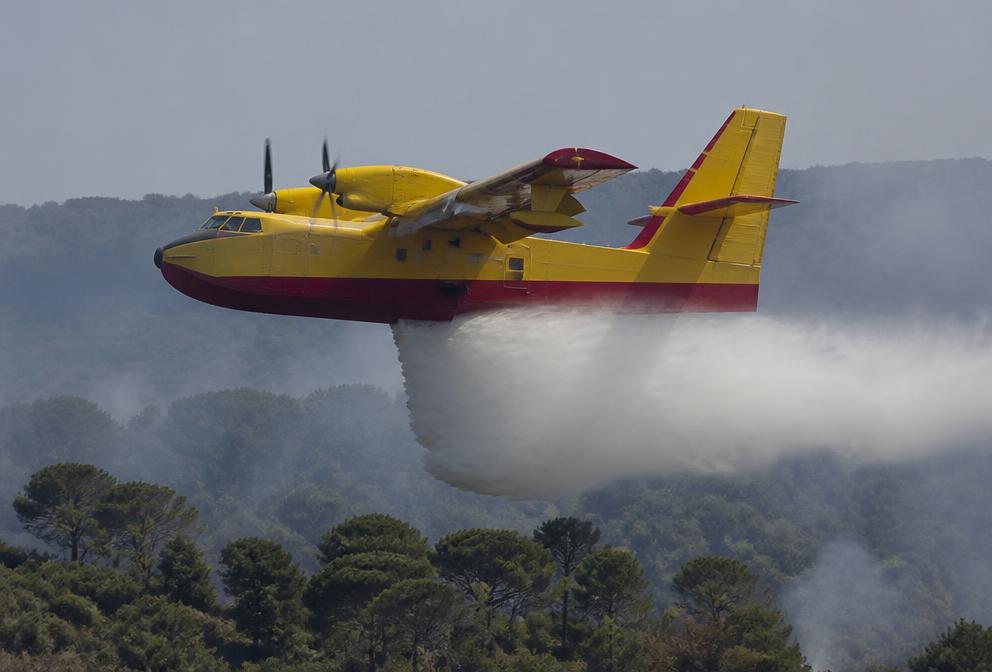 Avión anfibio bimotor de librea amarilla y roja descargando agua sobre un pinar mediterráneo con humo ligero.